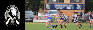 Image of the black and white Magpies logo for the Glengarry Football Netball Club. The logo is sitting on a photo of players in uniform during a football game as they are running to get the ball.